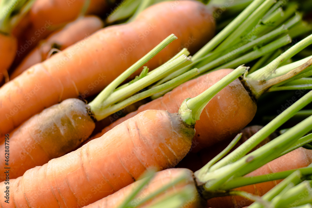 Assorted vegetables straight from the farm to restaurant Assorted vegetables straight from the farm to restaurant