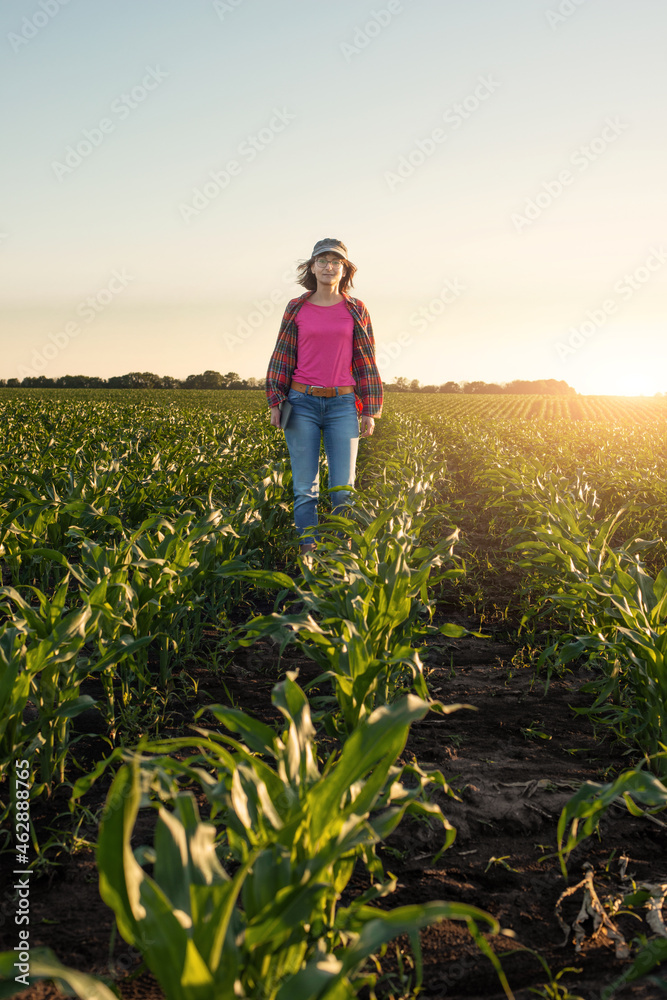 Fototapeta premium Female caucasian maize farmer with tablet computer inspecting stalks at field