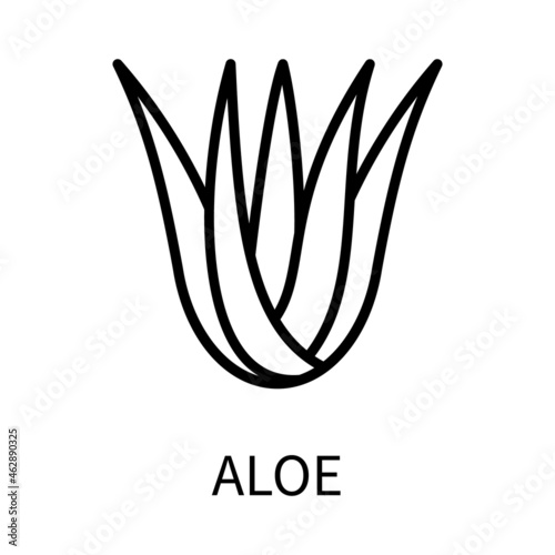 Line Icon Aloe Vera In Simple Style. Vector sign in a simple style isolated on a white background.