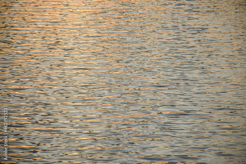 evening sea surface pattern of the atlantic ocean