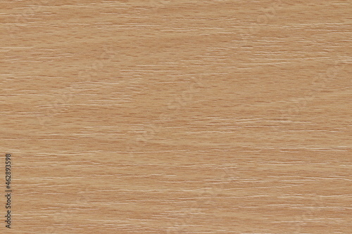 Decorative wood texture background. Background texture. 