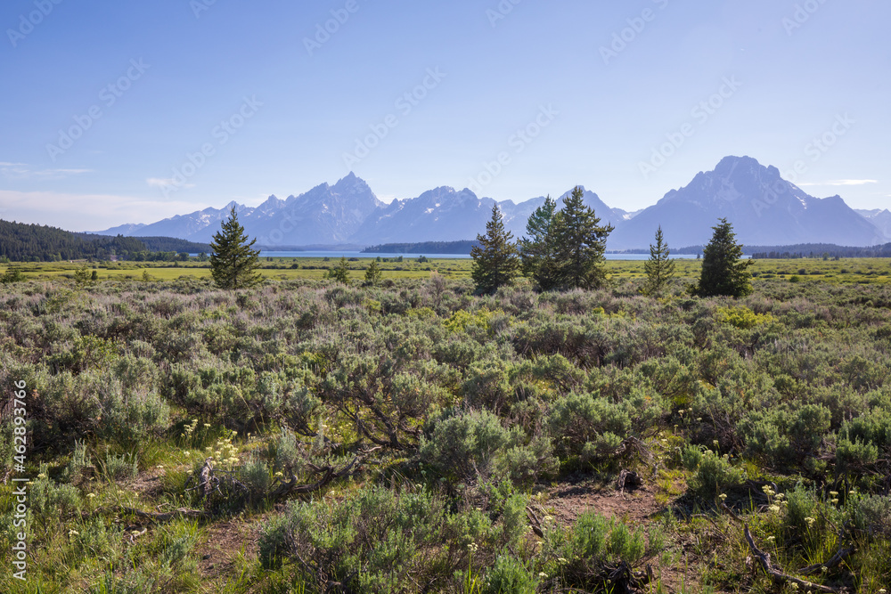 Beautiful landscape at Willow Flats Overlook Grand Teton National Park during summer Wyoming.