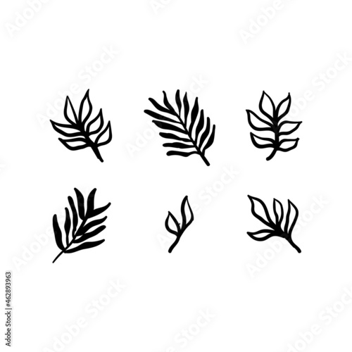 Little branches and floral doodles, hand drawn sketch drawings of plants, branches and leaves. Vector illustration.
