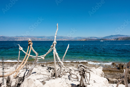 Tree branches forming artistic figures in the north-east cape of Corfu island, in Erimitis forest