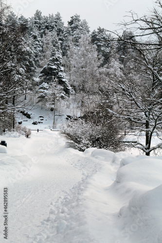 Beautiful white and snowy Finland winter scene in Espoo, Finland. 