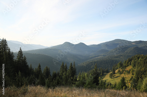 Picturesque view mountain landscape with forest on sunny day