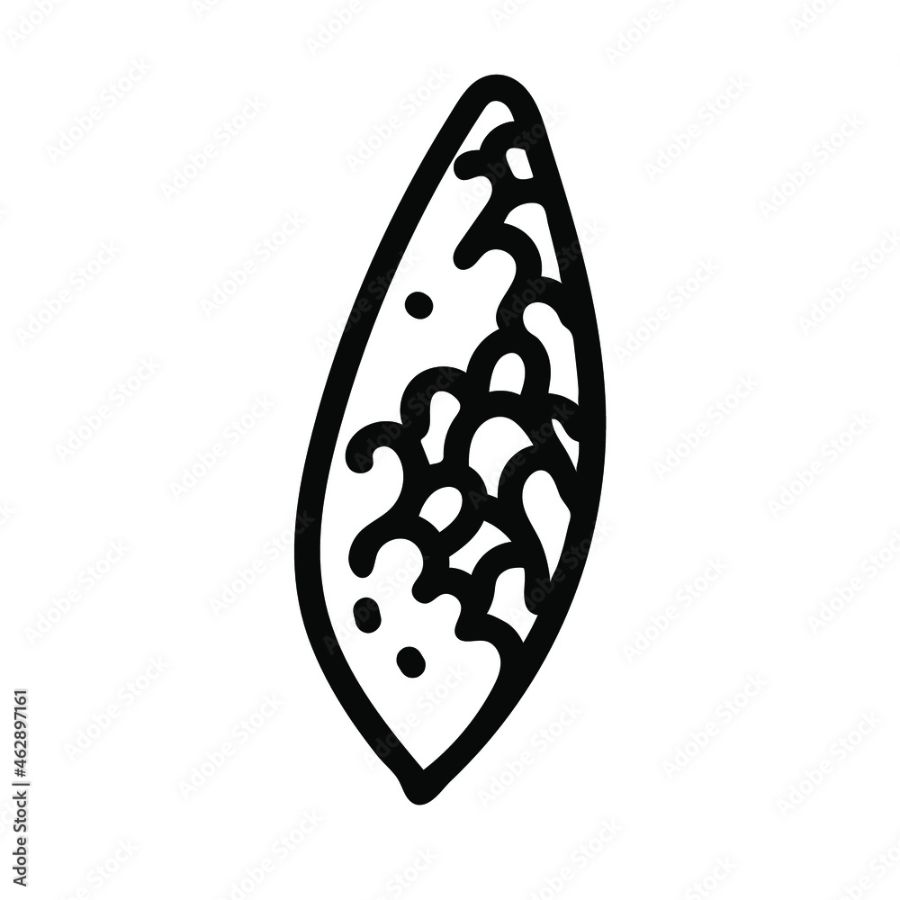 Vector Simple Christmas plant in doodle style with black line on white background.Floral,winter,botanical,mininmalist hand drawn illustration.Design for stickers,packaging,web,printing,posters. Vector Simple Christmas plant in doodle style with black line on white background.Floral,winter,botanical,mininmalist hand drawn illustration.Design for stickers,packaging,web,printing,posters.