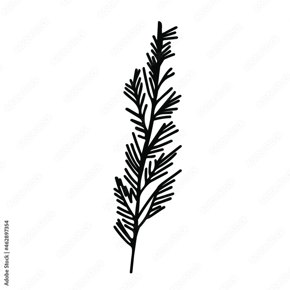 Vector Simple Christmas plant in doodle style with black line on white background.Floral,winter,botanical,mininmalist hand drawn illustration.Design for stickers,packaging,web,printing,posters. Vector Simple Christmas plant in doodle style with black line on white background.Floral,winter,botanical,mininmalist hand drawn illustration.Design for stickers,packaging,web,printing,posters.