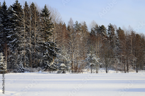 Beautiful white and snowy Finland winter scene in Espoo, Finland. Snowy trees and ground.