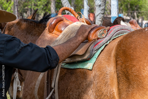 Fototapeta Naklejka Na Ścianę i Meble -  Argentine gaucho fixing horse saddle