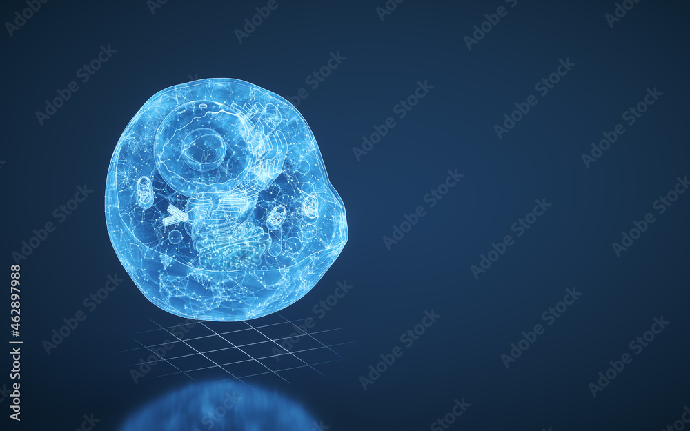 Internal structure of an animal cell, 3d rendering. Section view. Internal structure of an animal cell, 3d rendering. Section view.
