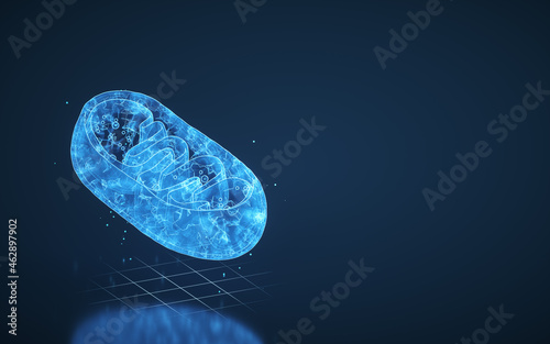 Cuadro en lienzo Cross-section view of Mitochondria, 3d rendering.