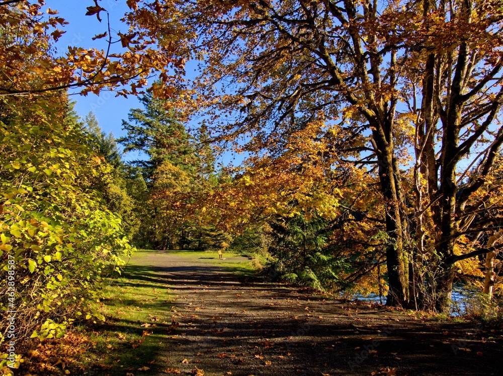 Fall landscape in sunny day in Tod Inlet, Vancouver Island BC Fall landscape in sunny day in Tod Inlet, Vancouver Island BC