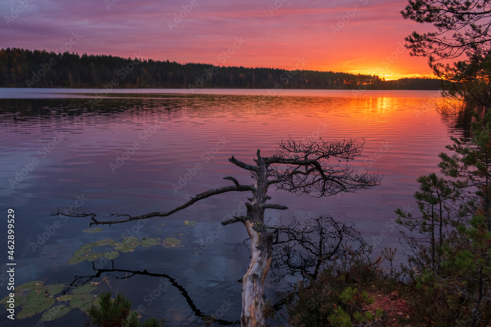 A very colorful sunrise on the northern lake. Autumnal nature in Karelia to Russia