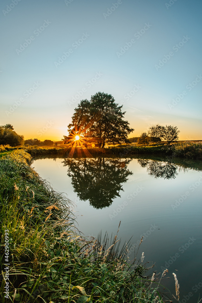 Obraz premium Beautiful old tree with sunrays reflected in water.Rural summer landscape with lonely tree against blue sky at sunset.Peaceful and suitable atmosphere for meditation.Lone tree silhouette at dawn.