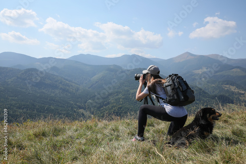 Professional photographer with dog taking picture in mountains. Space for text