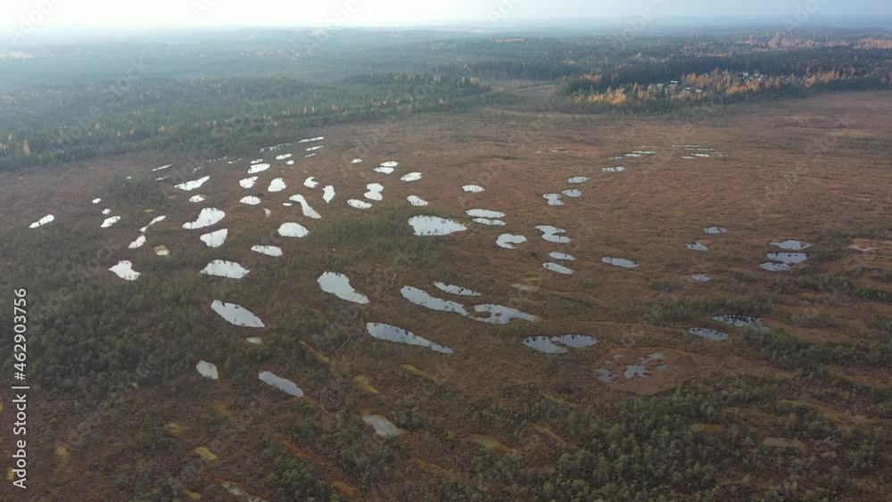 A beautiful northern autumn bog with hundreds of small lakes, Mukhinskoe swamp in the Leningrad region A beautiful northern autumn bog with hundreds of small lakes, Mukhinskoe swamp in the Leningrad region