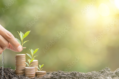 Hand putting money growing plants on stack coins in soil and green background blurred, warm light. Investment and business growth, economic risks, worth spending, saving money for the future concept
