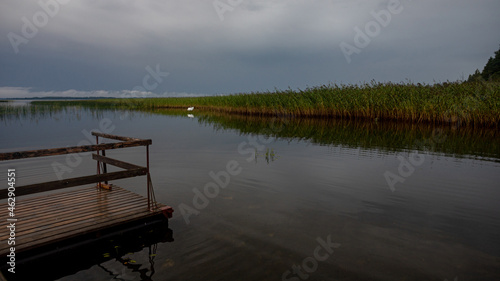 reeds in lake  big white bird in distance  wooden footbridge