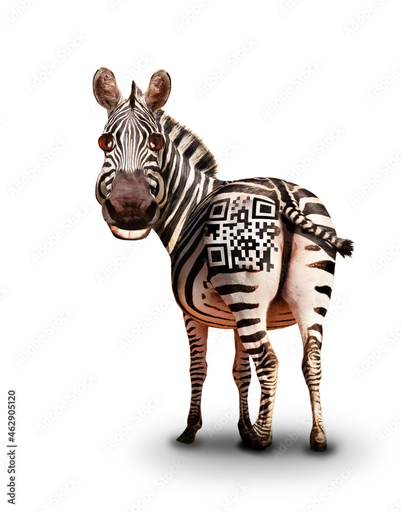 Fototapeta premium Smiling zebra with QR barcode on back