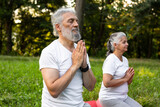Beautiful senior couple is meditating in the park	