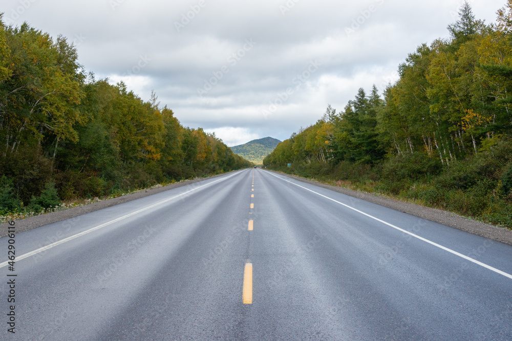 A two lane road of dark wet black asphalt with a single yellow line down the middle. There are colorful trees on both sides. There's a blue sky with white fluffy clouds in the background. A two lane road of dark wet black asphalt with a single yellow line down the middle. There are colorful trees on both sides. There's a blue sky with white fluffy clouds in the background.