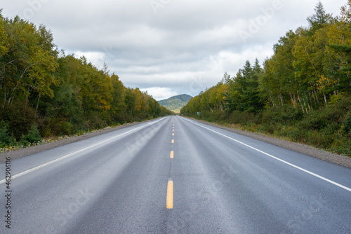 A two lane road of dark wet black asphalt with a single yellow line down the middle. There are colorful trees on both sides. There's a blue sky with white fluffy clouds in the background. 