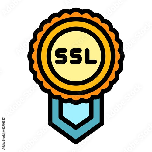 Ssl confirmation icon. Outline ssl confirmation vector icon color flat isolated