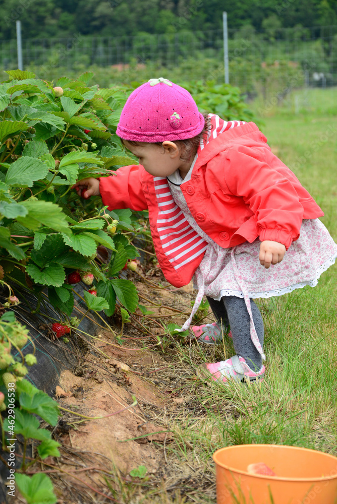 child in the garden