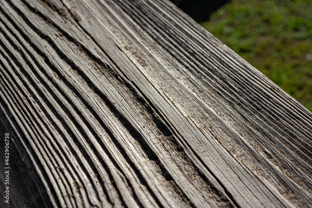 Fototapeta premium wood texture