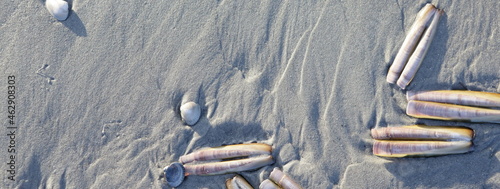 Sand beach on island Ameland, Dutch photo