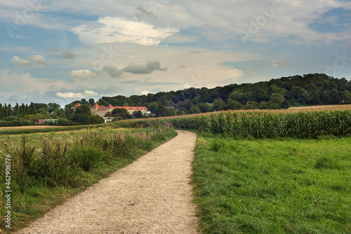 Winding dirt path between fields of corn and a country house in a rolling summer landscape under a blue cloudy sky.