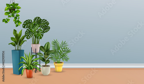 Plants Realistic House