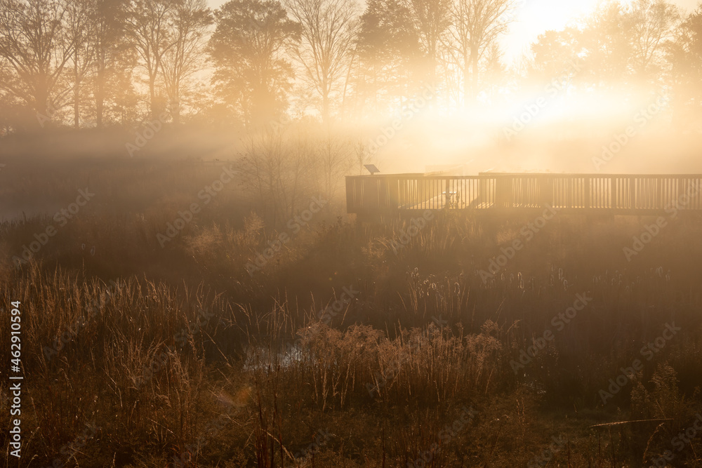 Fototapeta premium Wooden boardwalk path in thick early morning fog overlooking marsh wetland at Dixon Meadow Preserve, Pennsylvania, USA