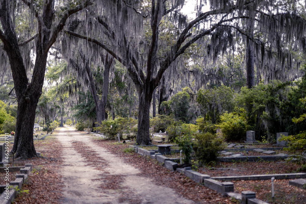 A dirt road leads through the tombstones and Spanish moss-covered trees in the creepy Bonaventure Cemetery, Savannah, Georgia, USA