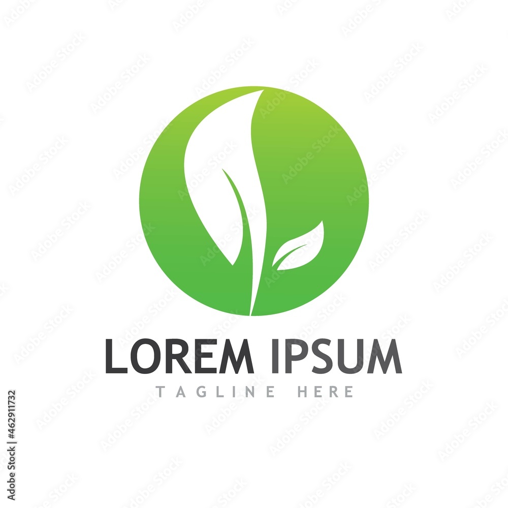 leaf logo and vector images leaf logo and vector images