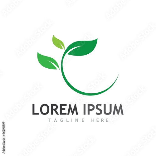 leaf logo and vector images