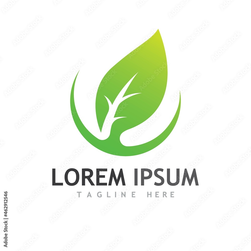 leaf logo and vector images leaf logo and vector images