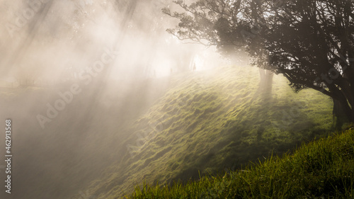 Silhouettes of people walking in the fog at Mt Eden summit with sun rays coming through the trees and volcanic crater in the foreground, Auckland