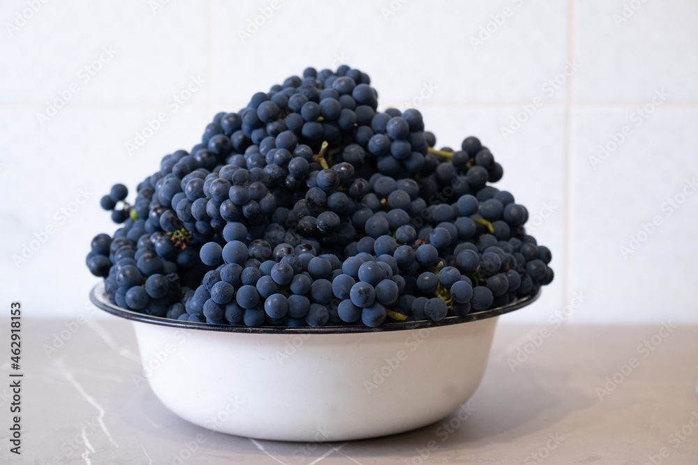 Natural blue grapes in white bowl on the kitchen. Farmers harvesting grape. Wine making, juice or other concept for market, factory, chateau, winery Natural blue grapes in white bowl on the kitchen. Farmers harvesting grape. Wine making, juice or other concept for market, factory, chateau, winery