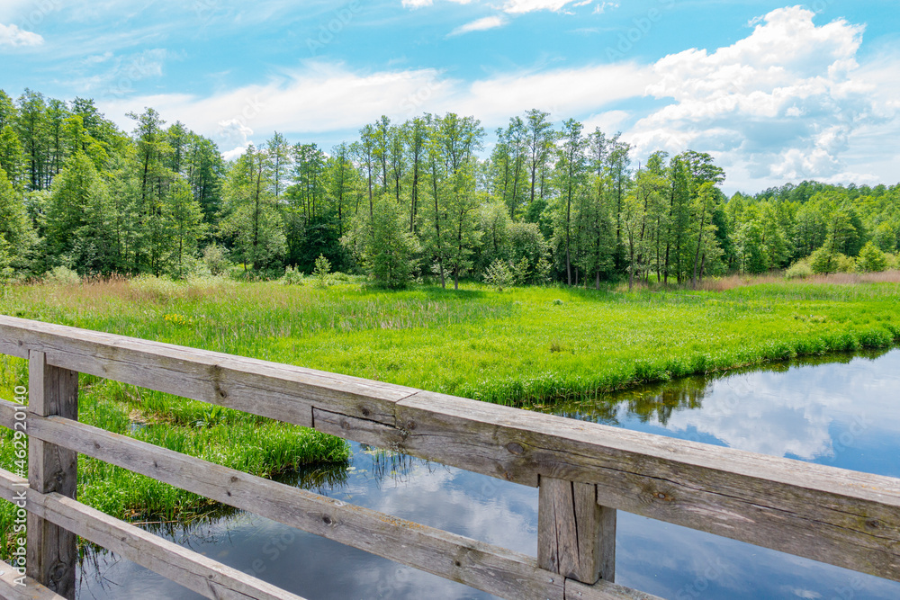 Fototapeta premium biebrza biebrzański park narodowy rzeka potok strumień rzeczka łąka pole pola pastwisko rolnictwo wieś podlasie podlaskie suwalszczyzna