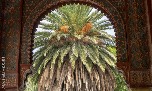 palm tree between arch of Moorish kiosk in Alameda de Santa Maria Mexico