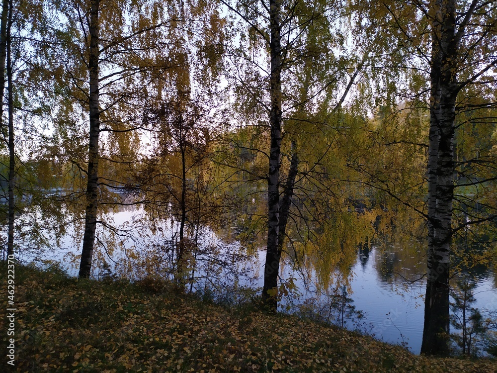 Fall landscape with reflection of trees in the calm river water in sunny autumn evening Fall landscape with reflection of trees in the calm river water in sunny autumn evening