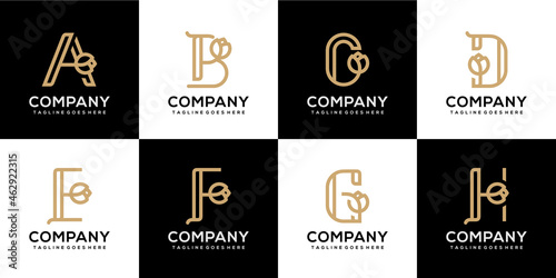 Set of alphabet logo combine wit flower luxury