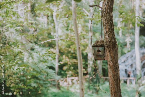 Pequeña casa verde para pájaros colgada de un árbol en el bosque photo