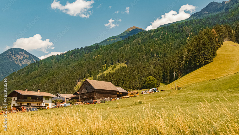 Beautiful alpine summer view near Moertschach, Kaernten, Austria