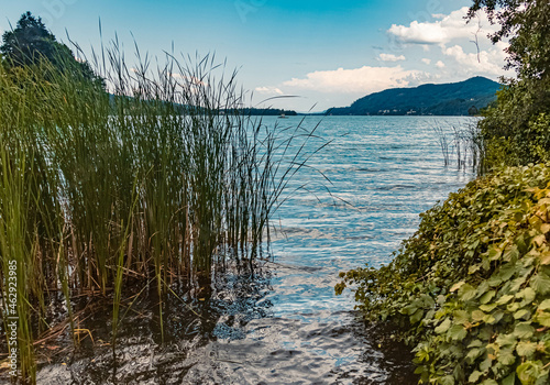 Beautiful alpine summer view with reflections at the famous Woerthersee, Maria Woerth, Kaernten, Austria photo