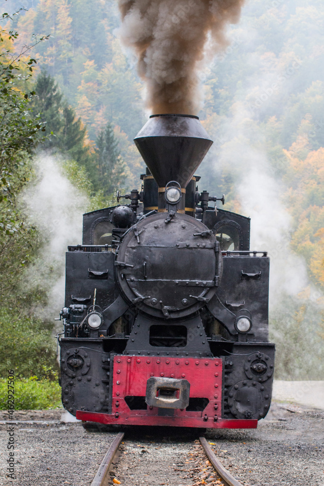 The Reșița Engine used for the Mocanița touristic narrow line in Vișeul de Sus, Romania.