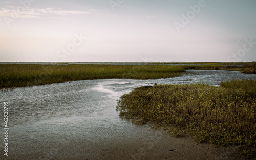 Galveston Island State Park  Texas