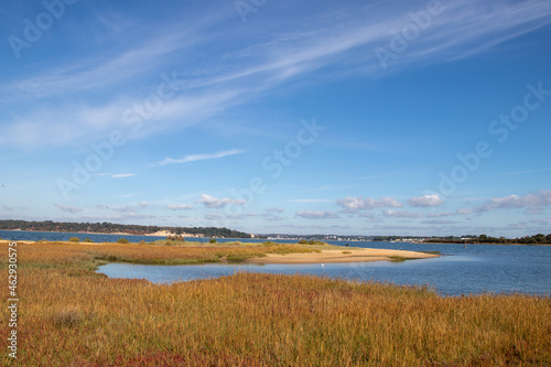 landscape by sea